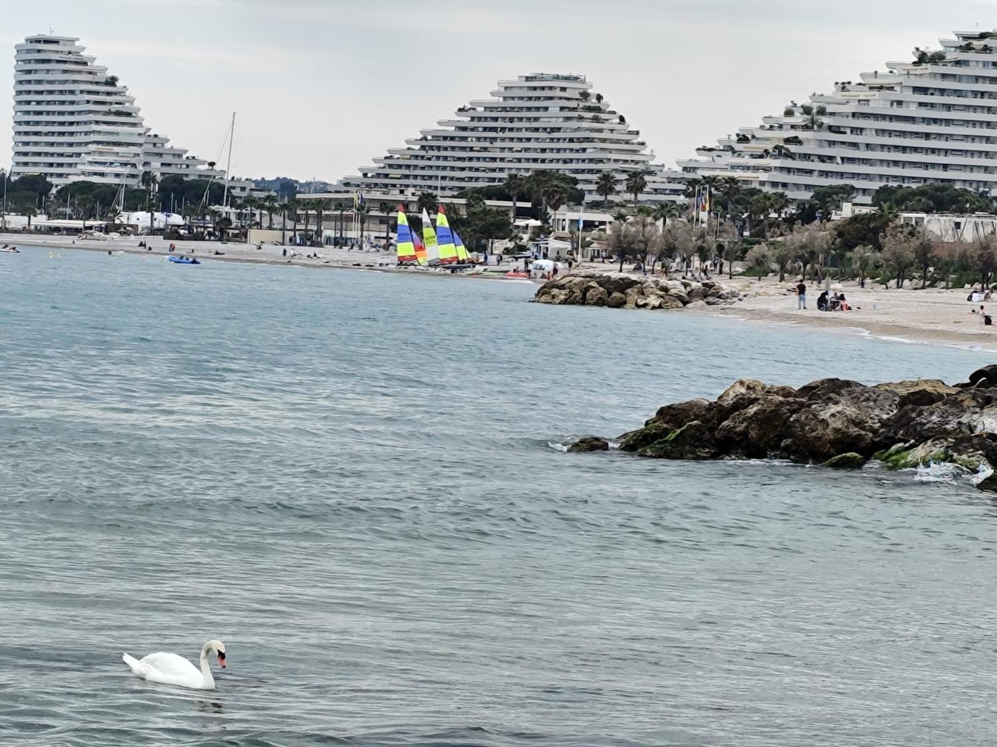 La Marina - T2 Apartment Villeneuve-Loubet Extérieur photo